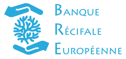 La création de la Banque Récifale Européenne.